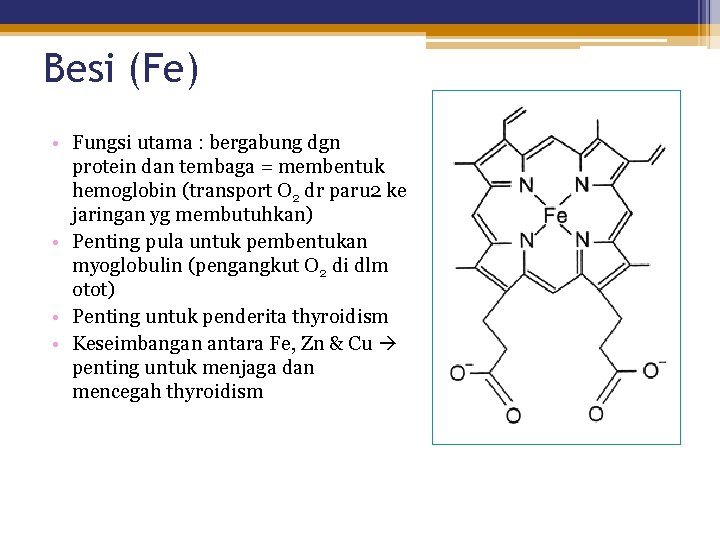 Besi (Fe) • Fungsi utama : bergabung dgn protein dan tembaga = membentuk hemoglobin
