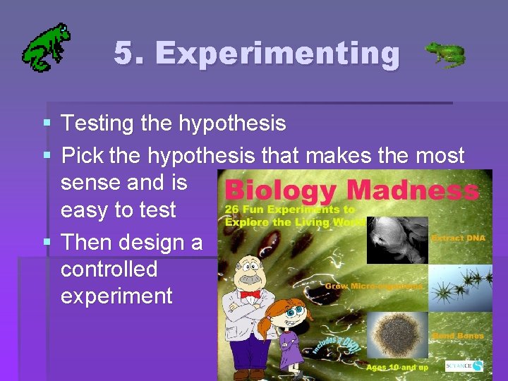 5. Experimenting § Testing the hypothesis § Pick the hypothesis that makes the most