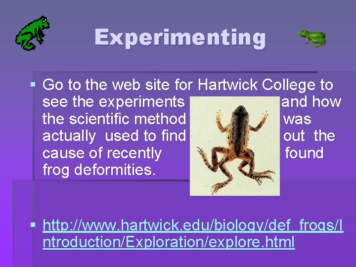 Experimenting § Go to the web site for Hartwick College to see the experiments