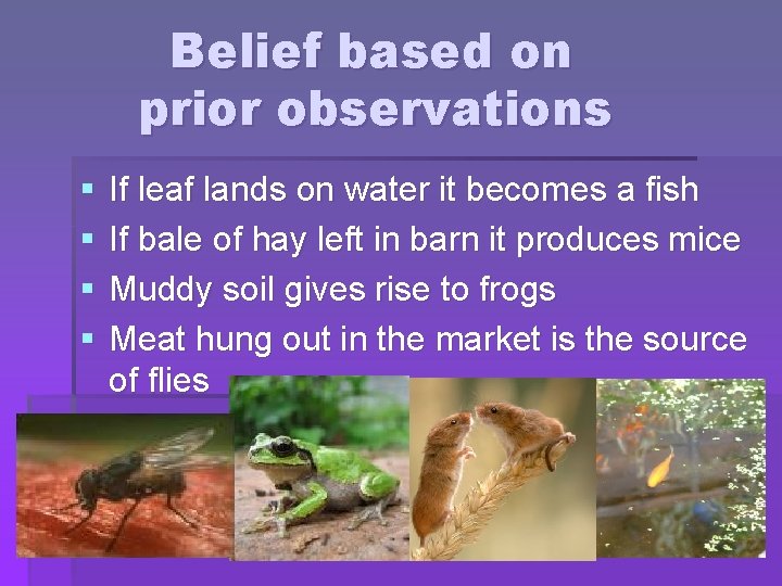 Belief based on prior observations § § If leaf lands on water it becomes