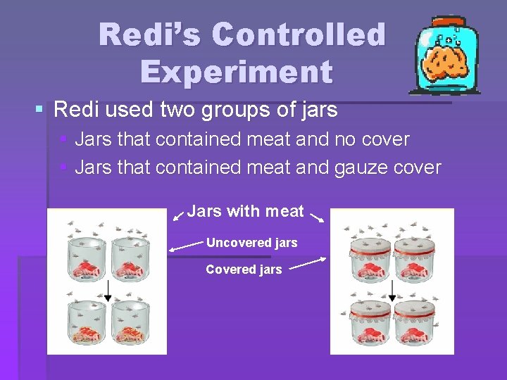 Redi’s Controlled Experiment § Redi used two groups of jars § Jars that contained