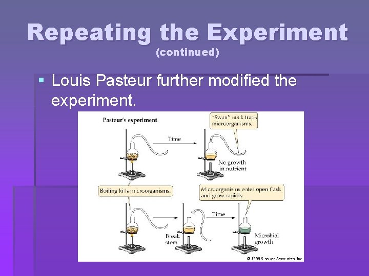 Repeating the Experiment (continued) § Louis Pasteur further modified the experiment. 