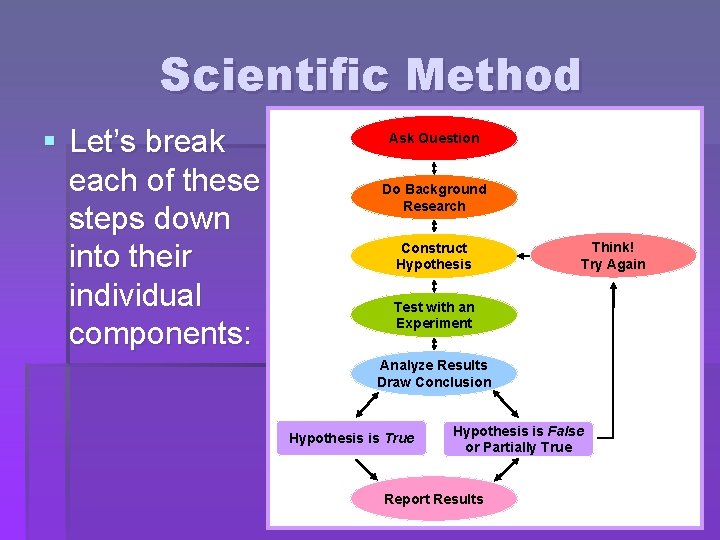 Scientific Method § Let’s break each of these steps down into their individual components: