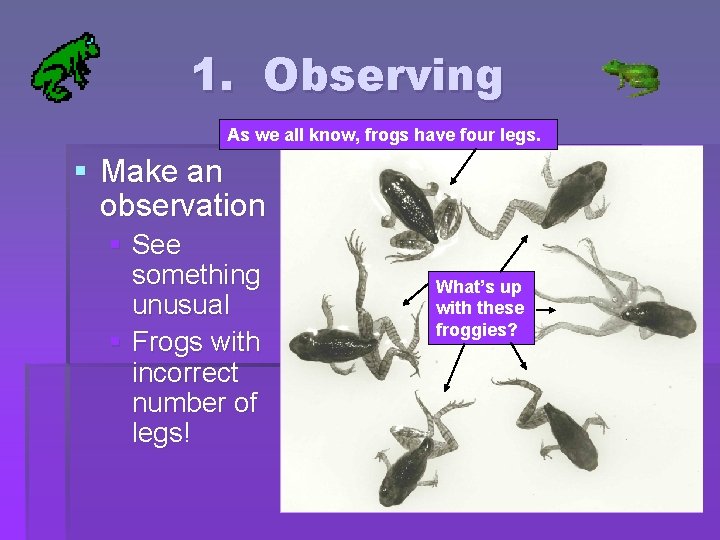 1. Observing As we all know, frogs have four legs. § Make an observation