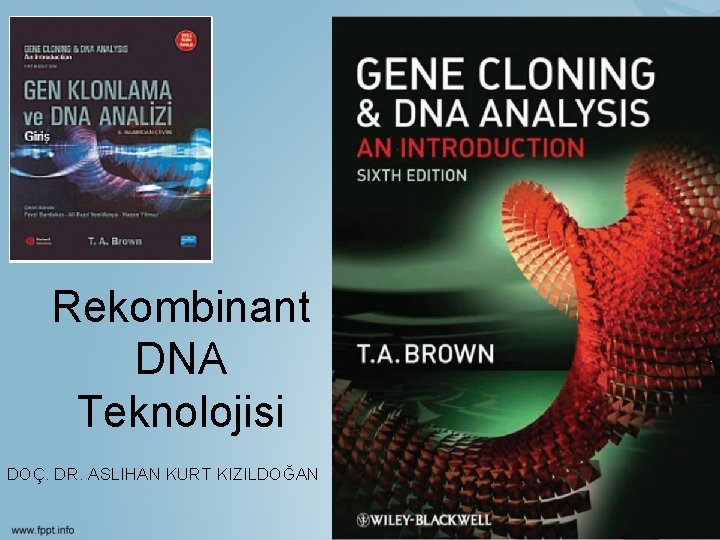 Rekombinant DNA Teknolojisi DOÇ. DR. ASLIHAN KURT KIZILDOĞAN 