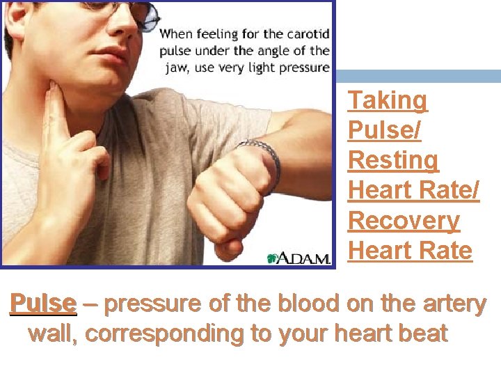 Taking Pulse/ Resting Heart Rate/ Recovery Heart Rate Pulse – pressure of the blood