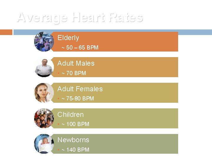 Average Heart Rates Elderly • ~ 50 – 65 BPM Adult Males • ~
