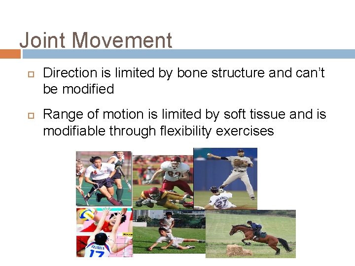 Joint Movement Direction is limited by bone structure and can’t be modified Range of