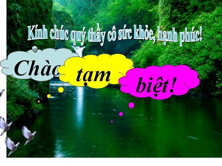 Chào tạm biệt! 