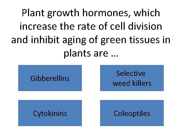 Plant growth hormones, which increase the rate of cell division and inhibit aging of