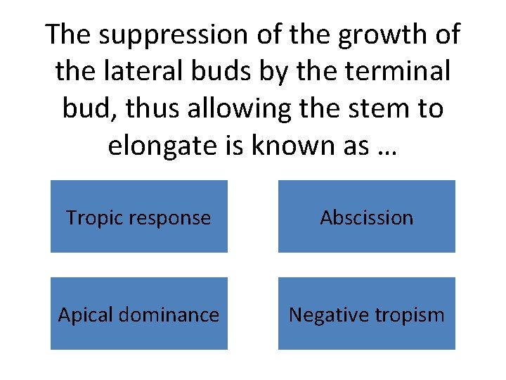 The suppression of the growth of the lateral buds by the terminal bud, thus