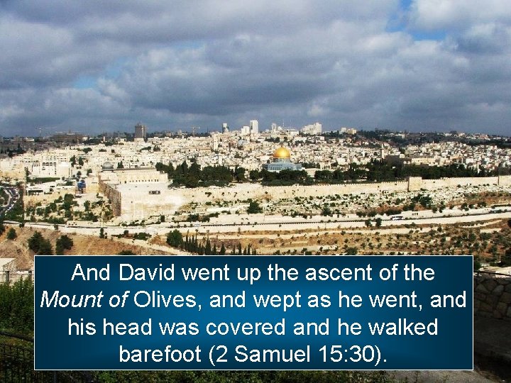 And David went up the ascent of the Mount of Olives, and wept as