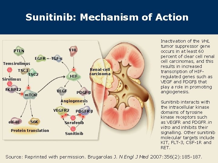 Phase Ii Study Of Sunitinib Administered In A