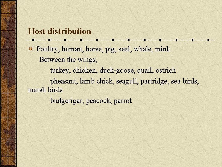 Host distribution Poultry, human, horse, pig, seal, whale, mink Between the wings; turkey, chicken,