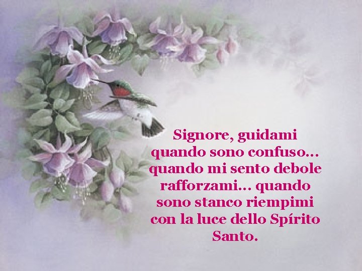 Signore, guidami quando sono confuso. . . quando mi sento debole rafforzami. . .