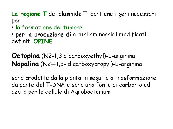 La regione T del plasmide Ti contiene i geni necessari per • la formazione