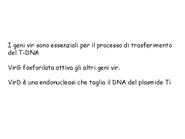 I geni vir sono essenziali per il processo di trasferimento del T-DNA Vir. G