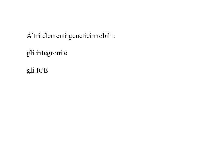 Altri elementi genetici mobili : gli integroni e gli ICE 