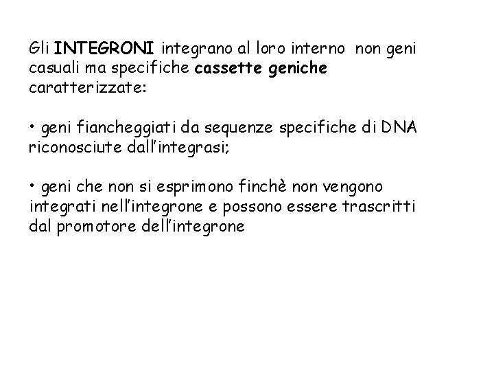 Gli INTEGRONI integrano al loro interno non geni casuali ma specifiche cassette geniche caratterizzate: