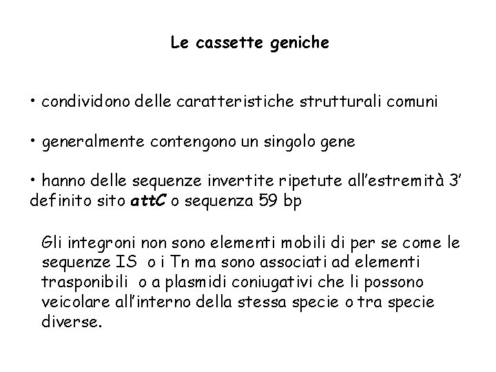 Le cassette geniche • condividono delle caratteristiche strutturali comuni • generalmente contengono un singolo
