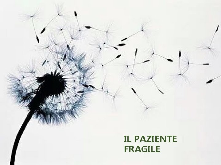 IL PAZIENTE FRAGILE 