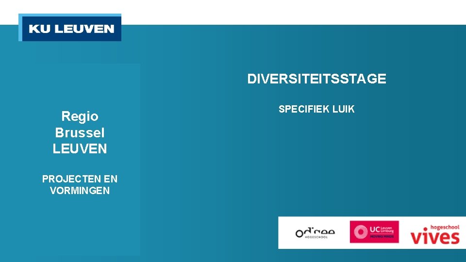 DIVERSITEITSSTAGE Regio Brussel LEUVEN PROJECTEN EN VORMINGEN SPECIFIEK LUIK 