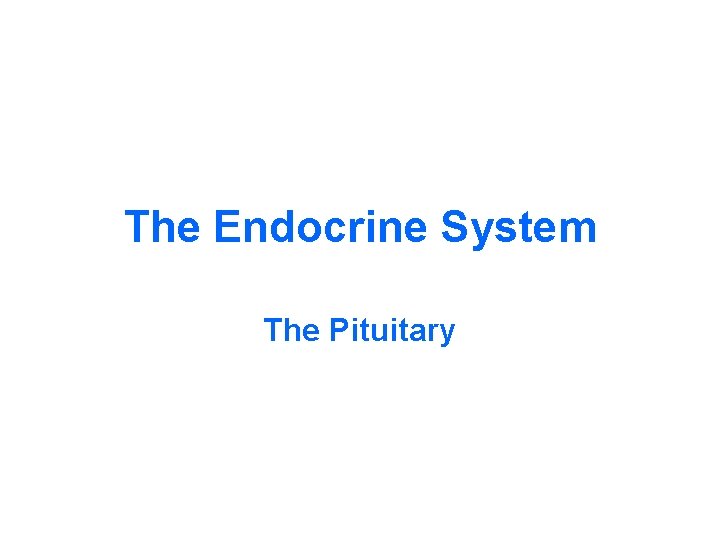 The Endocrine System The Pituitary 