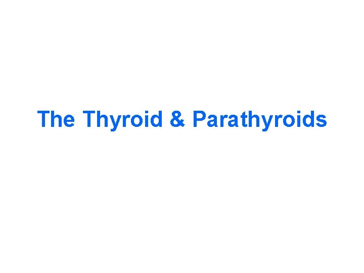 The Thyroid & Parathyroids 