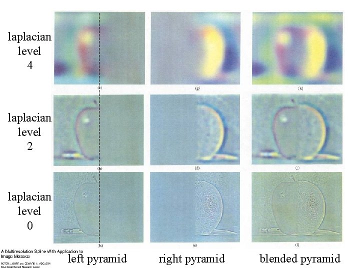 laplacian level 4 laplacian level 2 laplacian level 0 left pyramid right pyramid blended