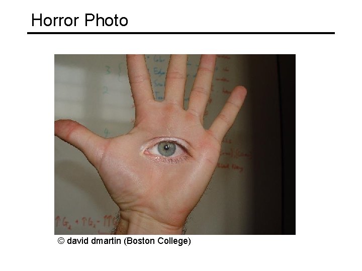 Horror Photo © david dmartin (Boston College) 