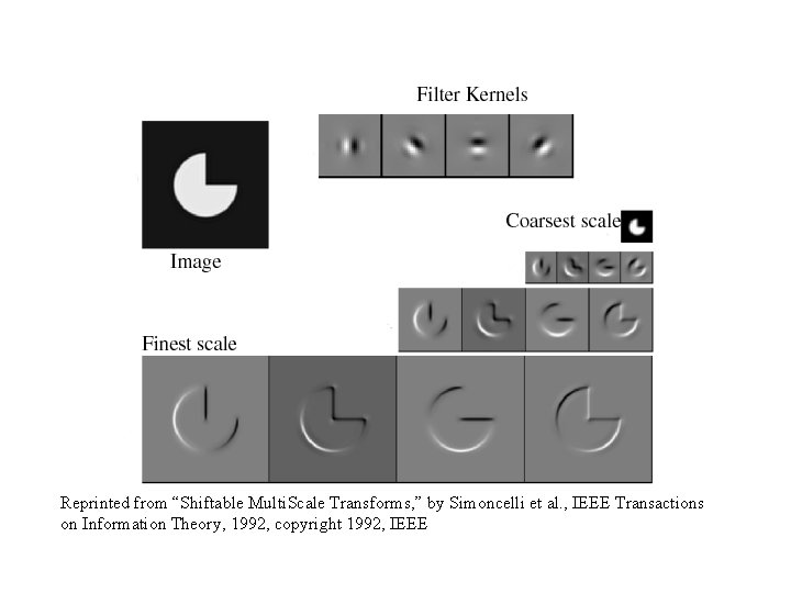 Reprinted from “Shiftable Multi. Scale Transforms, ” by Simoncelli et al. , IEEE Transactions