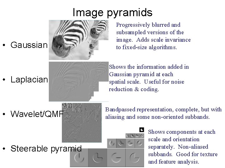 Image pyramids • Gaussian • Laplacian • Wavelet/QMF • Steerable pyramid Progressively blurred and