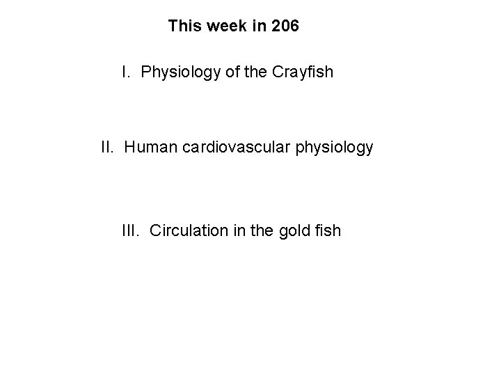 This week in 206 I. Physiology of the Crayfish II. Human cardiovascular physiology III.