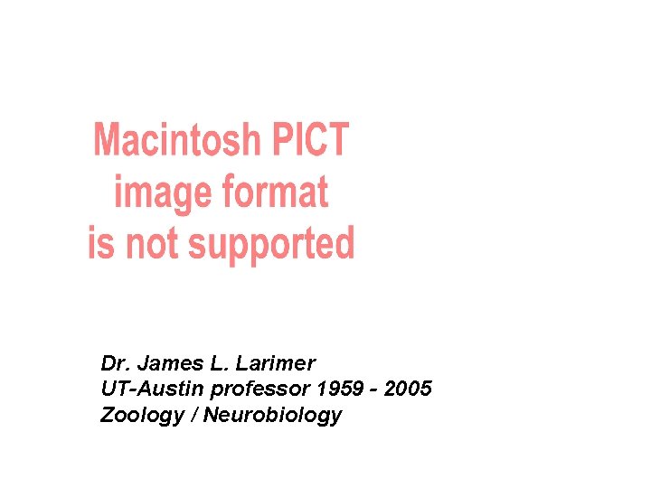 Dr. James L. Larimer UT-Austin professor 1959 - 2005 Zoology / Neurobiology 