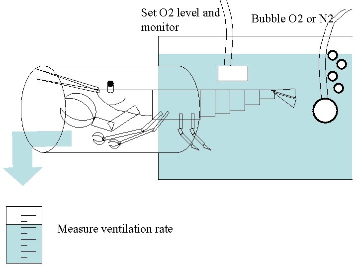 Set O 2 level and monitor Measure ventilation rate Bubble O 2 or N