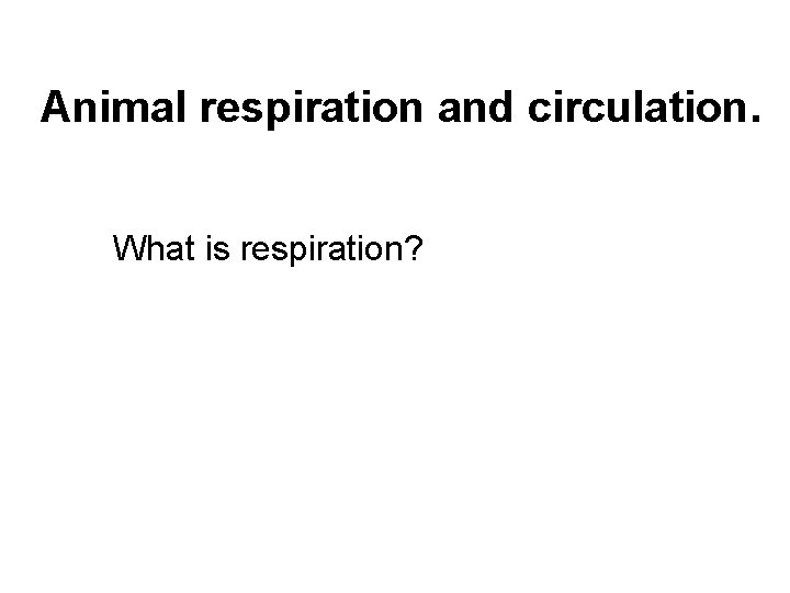 Animal respiration and circulation. What is respiration? 