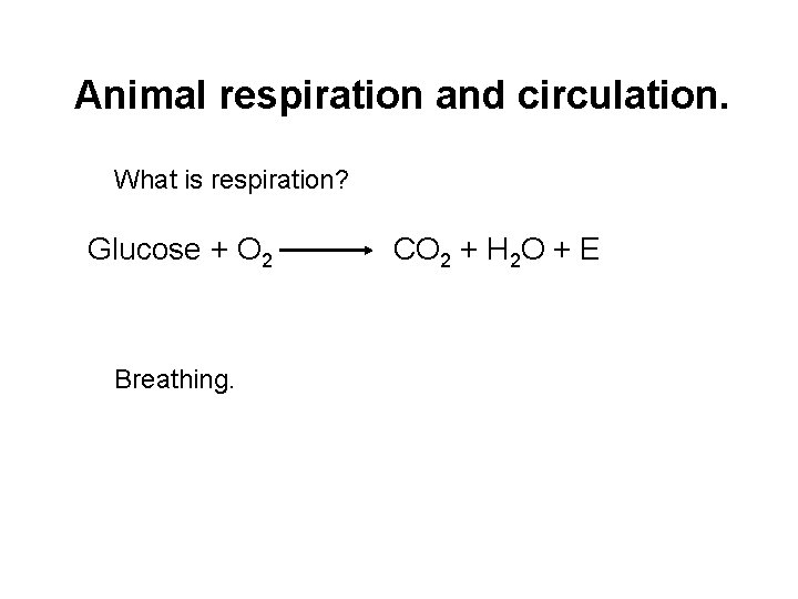 Animal respiration and circulation. What is respiration? Glucose + O 2 Breathing. CO 2