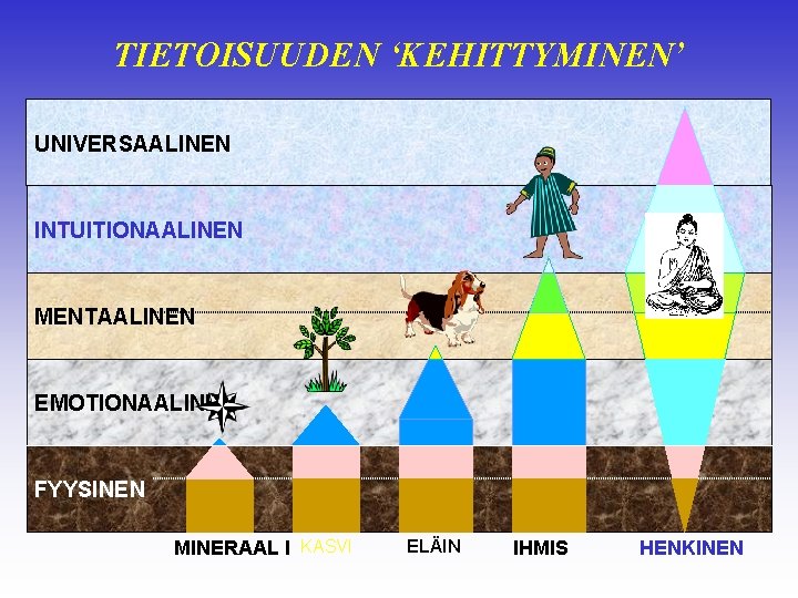 TIETOISUUDEN ‘KEHITTYMINEN’ UNIVERSAALINEN INTUITIONAALINEN MENTAALINEN EMOTIONAALINEN FYYSINEN MINERAAL I KASVI ELÄIN IHMIS HENKINEN 