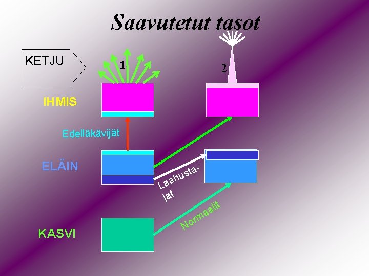 Saavutetut tasot KETJU 1 2 IHMIS Edelläkävijät ELÄIN - ta s u h Laa