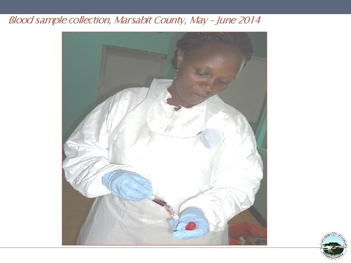 Blood sample collection, Marsabit County, May – June 2014 