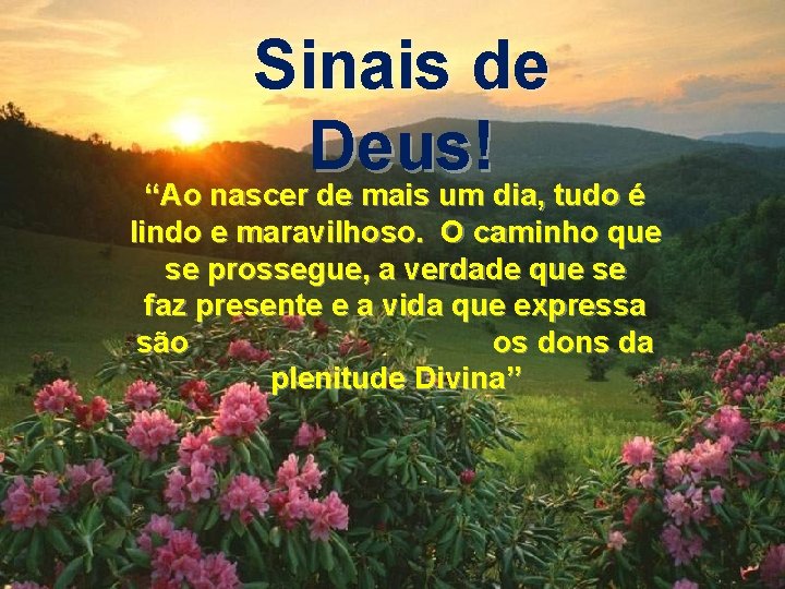 Sinais de Deus! “Ao nascer de mais um dia, tudo é Sinais de Deus!!