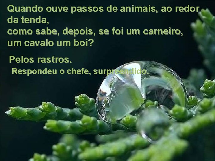 Quando ouve passos de animais, ao redor da tenda, como sabe, depois, se foi