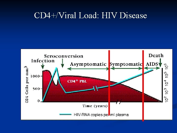CD 4+/Viral Load: HIV Disease 