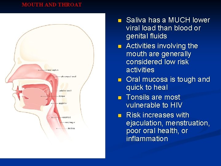 MOUTH AND THROAT n n n Saliva has a MUCH lower viral load than