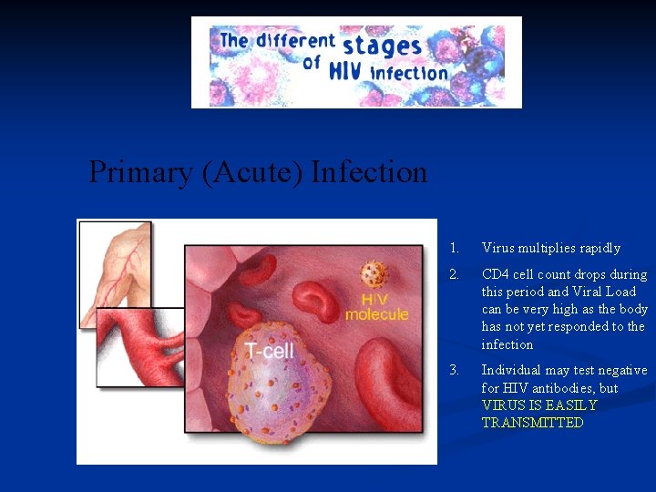 Primary (Acute) Infection 1. Virus multiplies rapidly 2. CD 4 cell count drops during