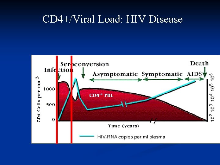 CD 4+/Viral Load: HIV Disease 