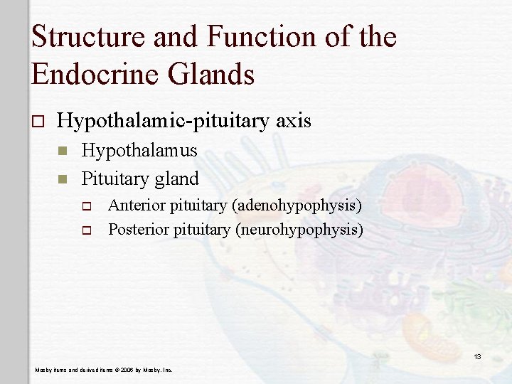 Structure and Function of the Endocrine Glands o Hypothalamic-pituitary axis n n Hypothalamus Pituitary