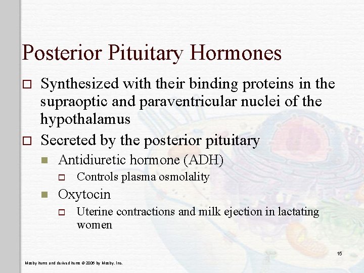 Posterior Pituitary Hormones o o Synthesized with their binding proteins in the supraoptic and