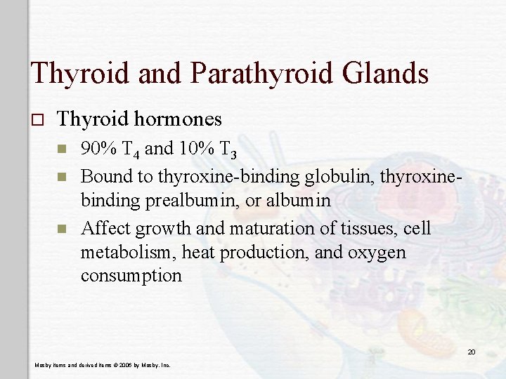 Thyroid and Parathyroid Glands o Thyroid hormones n n n 90% T 4 and