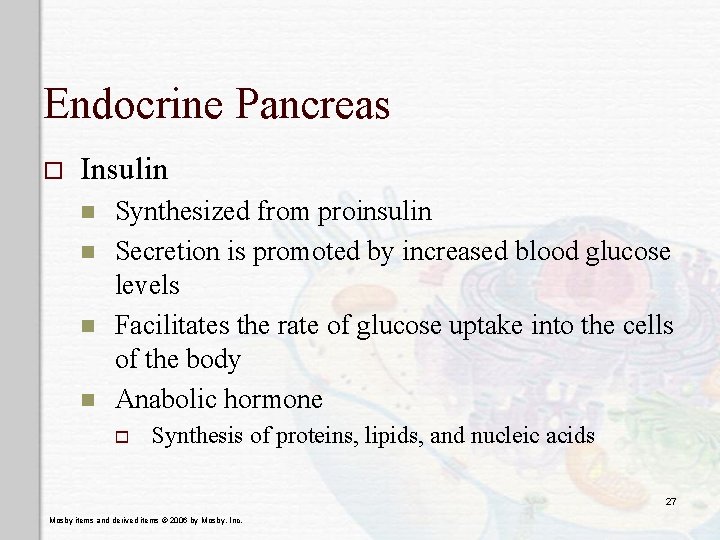 Endocrine Pancreas o Insulin n n Synthesized from proinsulin Secretion is promoted by increased